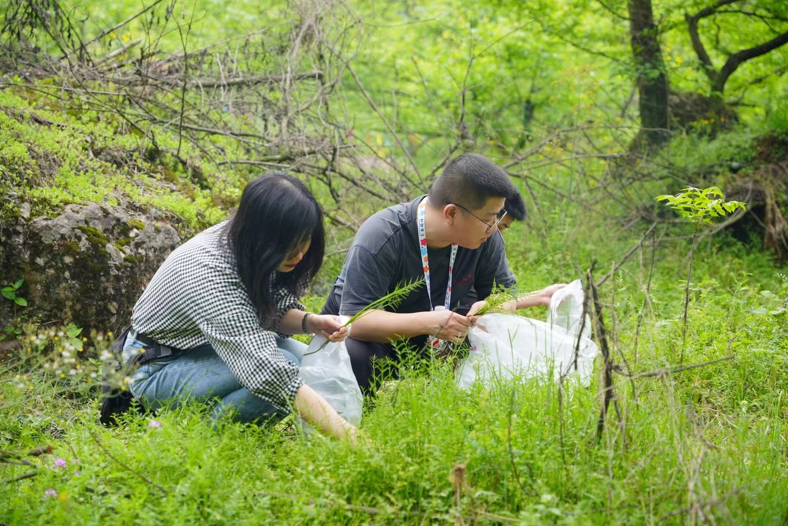 微信圖片_20240417095608.jpg 微信圖片_20240417095608.jpg